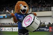 3 January 2015; Leo The Lion, Leinster's mascot, beats on the Spin 1038 drum. Guinness PRO12 Round 12, Leinster v Ulster. RDS, Ballsbridge, Dublin. Picture credit: Cody Glenn / SPORTSFILE