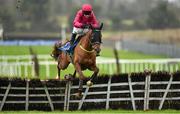 11 January 2015; Officieux, with Paul Carberry up, jumps the last on their way to winning the Fundraisers @ Fairyhouse Maiden Hurdle. Fairyhouse, Co. Meath. Picture credit: Barry Cregg / SPORTSFILE