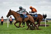 11 January 2015; Go Anna Go, left, with J.J. Burke up, races  eventual winner Might Be Magic, with Pat Foley up after jumping the last during the Ward Union Hunt Raceday Handicap Hurdle. Fairyhouse, Co. Meath. Picture credit: Barry Cregg / SPORTSFILE