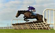 17 January 2015; Social Riser, with Michael Fogarty up, jumps the last on their way to winning the Book Hospitality On Line Maiden Hurdle. Naas, Co. Kildare. Picture credit: Barry Cregg / SPORTSFILE