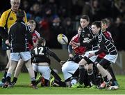 17 January 2015; Longford RFC V St. Brigids RFC. European Rugby Champions Cup 2014/15, Pool 2, Round 5, Leinster v Castres, RDS, Ballsbridge, Dublin. Picture credit: Matt Browne / SPORTSFILE