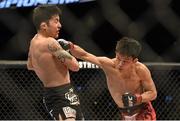 18 January 2015; Tateki Matsuda, right, in action against Joby Sanchez during their flyweight bout. UFC Fight Night, Tateki Matsuda v Joby Sanchez, TD Garden, Boston, Massachusetts, USA. Picture credit: Ramsey Cardy / SPORTSFILE