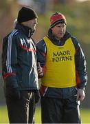 10 January 2015; Cork selector Mark Landers, right, with manager Jimmy Barry Murphy. Waterford Crystal Cup Preliminary Round, Cork v University of Limerick, CIT GAA Grounds, Bishopstown, Co. Cork. Picture credit: Brendan Moran / SPORTSFILE