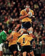 12 June 1999; David Giffin of Australia takes the ball in the line-out during the Ireland Rugby Tour to Australia First Test match between Australia and Ireland at Ballymore Football Stadium in Brisbane, Australia. Photo by Matt Browne/Sportsfile