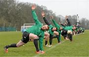 3 February 2015; Ireland players, from left, Keith Earls, Jared Payne, Rory Best and Tommy O'Donnell stretch during squad training. Carton House, Maynooth, Co. Kildare. Picture credit: Brendan Moran / SPORTSFILE