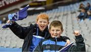 7 February 2015; Dublin supporters Darragh, seven years, and Adam O'Connor, 12, from Blanchardstown  at the game. Bord na Mona Walsh Cup Final, Dublin v Galway. Croke Park, Dublin. Picture credit: Ray McManus / SPORTSFILE