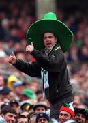 1 April 2000; An Ireland supporter during the Lloyds TSB 6 Nations match between Ireland and Wales at Lansdowne Road in Dublin. Photo by Brendan Moran/Sportsfile