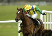 29 November 2007; Sonnium, right, with David Casey up, leads Amidreamin, with Adam O'Neill up, on his way to winning the Holy Cross 3 Year Old's Maiden Hurdle. Thurles Racecourse, Thurles, Co. Tipperary. Picture credit: Matt Browne / SPORTSFILE *** Local Caption ***