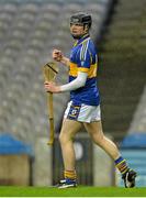 15 February 2015; Stephen Beatty, O'Donovan Rossa, celebrates scoring his sides first goal. AIB GAA Hurling All-Ireland Intermediate Club Championship Final, O'Donovan Rossa v Kilburn Gaels, Croke Park, Dublin. Picture credit: Piaras Ó Mídheach / SPORTSFILE