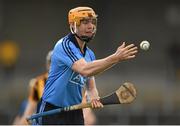 22 February 2015; Paul Schutte, Dublin. Allianz Hurling League, Division 1A, Round 2, Kilkenny v Dublin. Nowlan Park, Kilkenny. Picture credit: Stephen McCarthy / SPORTSFILE