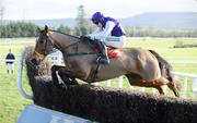 24 January 2008; Kicking King, with Barry Geraghty up, during the Normans Grove Steeplechase. Gowran Park, Co. Kilkenny. Picture credit: Matt Browne / SPORTSFILE
