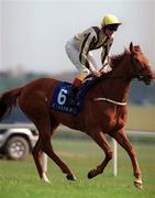 1 May 2000; Wray, with Kevin Manning up, goes to post prior to the Victory Note European Breeders Fund Mooresbridge Stakes at the Curragh Racecourse in Kildare. Photo by Brendan Moran/Sportsfile