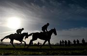 10 March 2015; Horses on the gallops ahead of the day's racing. Cheltenham Racing Festival 2015, Prestbury Park, Cheltenham, England. Picture credit: Ramsey Cardy / SPORTSFILE