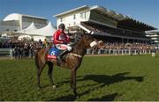 10 March 2015; Jockey Barry Geraghty after winning the Festival Handicap Chase on Druids Nephew. Cheltenham Racing Festival 2015, Prestbury Park, Cheltenham, England. Picture credit: Matt Browne / SPORTSFILE