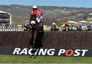 10 March 2015; Druids Nephew, with Barry Geraghty up, jumps the last on the way to winning the Festival Handicap Chase. Cheltenham Racing Festival 2015, Prestbury Park, Cheltenham, England. Picture credit: Ramsey Cardy  / SPORTSFILE