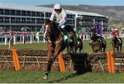 10 March 2015; Faugheen, with Ruby Walsh up, jumps the last on the way to winning the Champion Hurdle. Cheltenham Racing Festival 2015, Prestbury Park, Cheltenham, England. Picture credit: Ramsey Cardy / SPORTSFILE