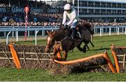 10 March 2015; Annie Power, with Ruby Walsh up, jumps the last in the David Nicholson Mares' Hurdle. Cheltenham Racing Festival 2015, Prestbury Park, Cheltenham, England. Picture credit: Ramsey Cardy / SPORTSFILE