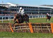 10 March 2015; Annie Power, with Ruby Walsh up, jumps the last in the David Nicholson Mares' Hurdle. Cheltenham Racing Festival 2015, Prestbury Park, Cheltenham, England. Picture credit: Ramsey Cardy / SPORTSFILE