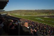 10 March 2015; Racegoers watch as jockey Ruby Walsh is dismounted from Annie Power at the final fence in the David Nicholson Mares' Hurdle David Nicholson Mares' Hurdle. Cheltenham Racing Festival 2015, Prestbury Park, Cheltenham, England. Picture credit: Matt Browne / SPORTSFILE