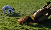 10 March 2015; Jockey Ruby Walsh is dismounted from Annie Power at the final fence in the David Nicholson Mares' Hurdle. Cheltenham Racing Festival 2015, Prestbury Park, Cheltenham, England. Picture credit: Ramsey Cardy / SPORTSFILE