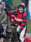 3 March 2015; Tom Scudamore on Next Sensation celebrates winning the Grand Annual Chase. Cheltenham Racing Festival 2015, Prestbury Park, Cheltenham, England. Picture credit: Ramsey Cardy / SPORTSFILE