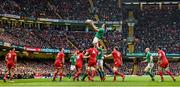 14 March 2015; Devin Toner, Ireland, takes possession in a lineout. RBS Six Nations Rugby Championship, Wales v Ireland. Millennium Stadium, Cardiff, Wales. Picture credit: Stephen McCarthy / SPORTSFILE