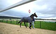 10 March 2008; A New Story is walked past the winning post ahead of the 2008 Cheltenham Festival. Cheltenham Racing Festival, Prestbury Park, Cheltenham, England. Picture credit: David Maher / SPORTSFILE