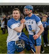 22 March 2015; Waterford players Colin Dunford and Michael Walsh, 14, after the game. Allianz Hurling League Division 1B, round 5, Wexford v Waterford, Innovate Wexford Park, Wexford. Picture credit: Matt Browne / SPORTSFILE