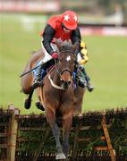 23 March 2008; Oscar Rebel with Paul Carberry up on their way to winning the Masterchefs Hospitality European Breeders Fund Mares Hurdle Championship Final. Fairyhouse Easter Festival 2008, Fairyhouse, Co.Meath. Picture credit; Paul Mohan / SPORTSFILE