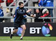 24 April 2015; Leinster senior strength and conditioning coach, Tom Turner. Guinness PRO12, Round 20, Ulster v Leinster. Kingspan Stadium, Ravenhll Park, Belfast. Picture credit: Ramsey Cardy / SPORTSFILE