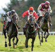 29 April 2015; Shamiran, centre, with Andrew Ring up, on their way to winning the Martinstown Opportunity Series Final Handicap Hurdle. Punchestown Racecourse, Punchestown, Co. Kildare. Picture credit: Cody Glenn / SPORTSFILE