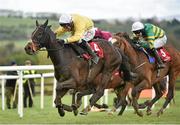 29 April 2015; Walk To Freedom, with Robbie Power up, races to the finish on their way to winning the Louis Fitzgerald Hotel Hurdle ahead of Marchese Marconi, with Mark Walsh up, who finished second, and Identity Thief, far side, with Bryan Cooper up, who finished third. Punchestown Racecourse, Punchestown, Co. Kildare. Picture credit: Matt Browne / SPORTSFILE