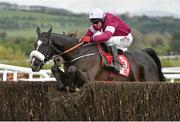 29 April 2015; Don Cossack, with Paul Carberry up, jump the last on their way to winning the Bibby Financial Services Ireland Punchestown Gold Cup. Punchestown Racecourse, Punchestown, Co. Kildare. Picture credit: Matt Browne / SPORTSFILE
