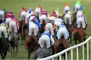 29 April 2015; Runners and riders make their way into the second lap of the Martinstown Opportunity Series Final Handicap Hurdle. Punchestown Racecourse, Punchestown, Co. Kildare. Picture credit: Cody Glenn / SPORTSFILE