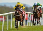 1 May 2015; Mallards In Flight, with Luke Dempsey up, on their way to winning the Hanlon Concrete European Breeders Fund Glencarraig Lady Mares Handicap Steeplechase ahead of second place Speckled Wood, with Mark Walsh up. Punchestown Racecourse, Punchestown, Co. Kildare. Picture credit: Matt Browne / SPORTSFILE