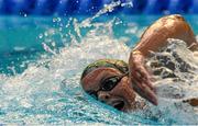 3 May 2015; Grainne Murphy, New Ross, during the women's 1500m free-style final. 2015 Irish Open Swimming Championships at the National Aquatic Centre, Abbotstown, Dublin. Picture credit: Piaras Ó Mídheach / SPORTSFILE