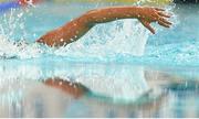 3 May 2015; A general view of Grainne Murphy, New Ross, during the women's 1500m free-style final. 2015 Irish Open Swimming Championships at the National Aquatic Centre, Abbotstown, Dublin. Picture credit: Piaras Ó Mídheach / SPORTSFILE