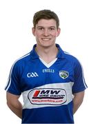 5 May 2015; Brendan Reddin, Laois. Laois Hurling Squad Portraits 2015, O'Moore Park, Portlaoise, Co. Laois. Picture credit: Brendan Moran / SPORTSFILE