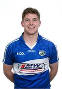 5 May 2015; Charles Dwyer, Laois. Laois Hurling Squad Portraits 2015, O'Moore Park, Portlaoise, Co. Laois. Picture credit: Brendan Moran / SPORTSFILE