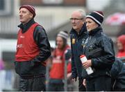 10 May 2015; Westmeath manager Michael Ryan with Westmeath physical trainer Michael Walsh. Leinster GAA Hurling Senior Championship Qualifier Group, round 2, Westmeath v Antrim. Cusack Park, Mullingar, Co. Westmeath. Picture credit: David Maher / SPORTSFILE
