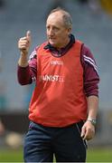 24 May 2015; Westmeath manager Michael Ryan. Leinster GAA Hurling Senior Championship Qualifier Group, Round 3, Laois v Westmeath. O'Moore Park, Portlaoise, Co. Laois. Picture credit: Brendan Moran / SPORTSFILE