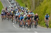 23 May 2015; A general view of the peleton during Stage 7 of the 2015 An Post Rás. Ballinamore - Drogheda. Photo by Sportsfile