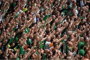 13 June 2015; Republic of Ireland supporters at the game. UEFA EURO 2016 Championship Qualifier, Group D, Republic of Ireland v Scotland, Aviva Stadium, Lansdowne Road, Dublin. Picture credit: Ray McManus / SPORTSFILE