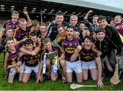 8 July 2015; The Wexford team celebrate with the cup. Bord Gáis Energy Leinster GAA Hurling U21 Championship Final, Wexford v Kilkenny, Innovate Wexford Park, Wexford. Picture credit: Matt Browne / SPORTSFILE