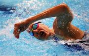 17 July 2015; Ireland's Ailbhe Kelly competes in her heat of the Women's 400m Freestyle S8 where she finished tenth in a time of 5:37.45. IPC Swimming World Championship. Tollcross Swimming Centre, Glasgow, Scotland. Picture credit: Ian MacNicol / SPORTSFILE