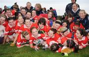 1 November 2008; The Donaghmoyne team celebrate with the cup. VHI Healthcare Ulster Senior Club Ladies Football Final Replay, Donaghmoyne, Monaghan v Moville, Donegal, Kinawley, Co. Fermanagh. Picture credit: Pat Murphy / SPORTSFILE