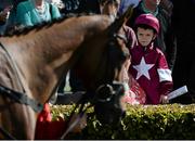 29 July 2015; Spectators view the horses before the thetote.com Galway Plate. Galway Racing Festival, Ballybrit, Galway. Picture credit: Dáire Brennan / SPORTSFILE