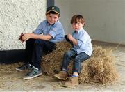 7 August 2015; Charlie Kent, age 7, left, and his brother Harry, age 3, from Wexford, in the stables during the Discover Ireland Dublin Horse Show 2015. RDS, Ballsbridge, Dublin. Picture credit: Seb Daly / SPORTSFILE