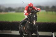 20 December 2008; Golden Silver, with Paul Townend up, races clear of the last on their way to winning the Irish Stallion Farms European Breeders Fund Beginners Steeplechase of €19,000. Navan Racecourse, Navan. Picture credit: Brian Lawless / SPORTSFILE