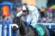 27 December 2008; Wheresben, with James Fahey up, after winning the Paddy Power Steeplechase. Leopardstown Christmas Racing Festival 2008, Leopardstown. Picture credit: Maurice Doyle / SPORTSFILE